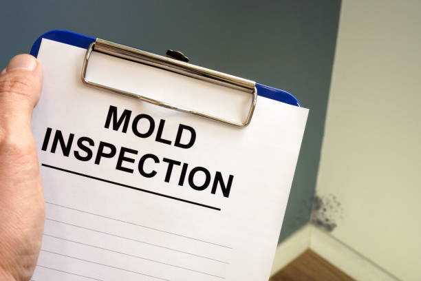 Asbestos and Lead Testing During Mold Inspection in Strathmore, CA